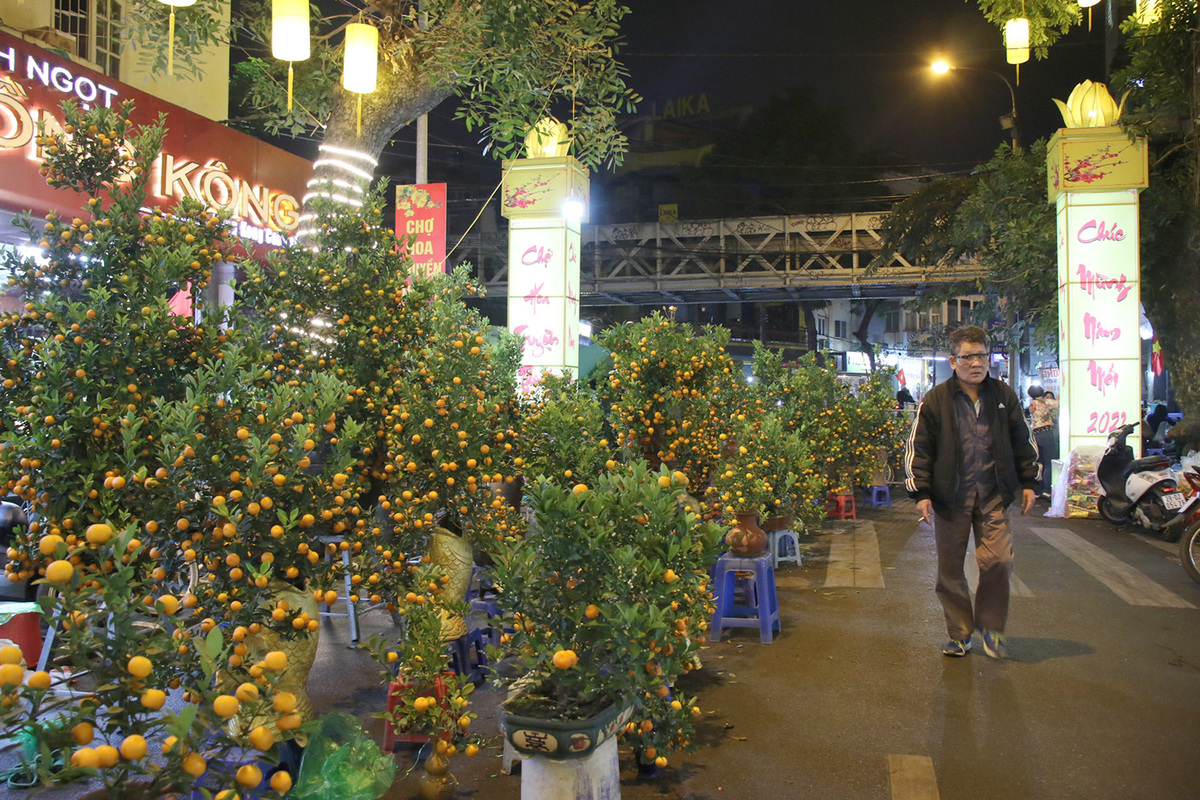 tet flower markets in hanoi old quarter deserted due to covid 19 photos